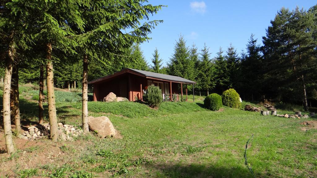 Domek W Dolinie Drwecy Lubicz Dış mekan fotoğraf